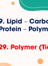 Bài 29. Polymer (Tiết 1)